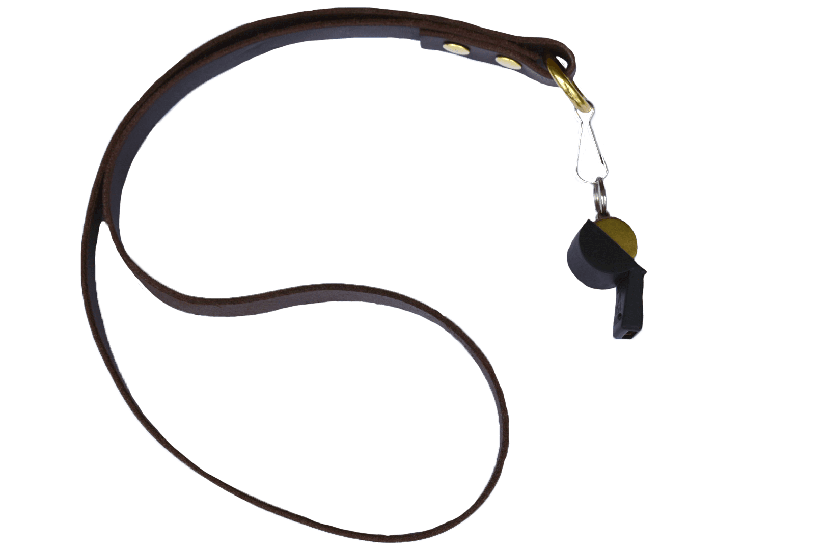 Brass/Gold Plated Dog Whistle With Leather Lanyard