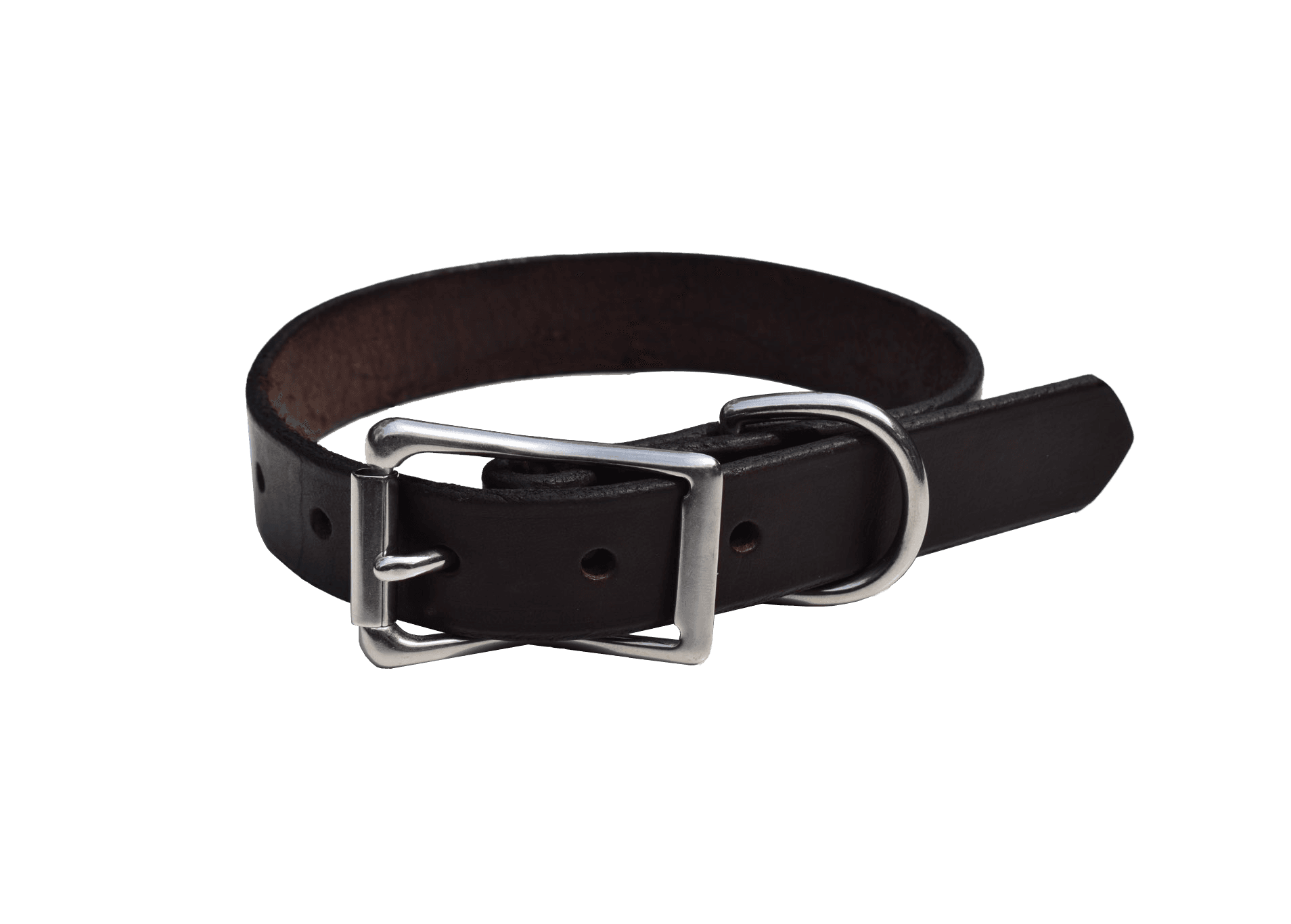 Leather Dog Collar