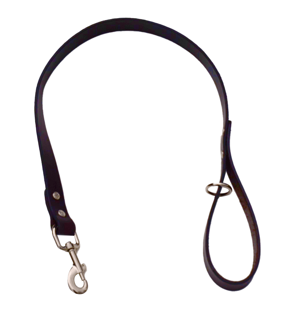 Leather Dog Leash