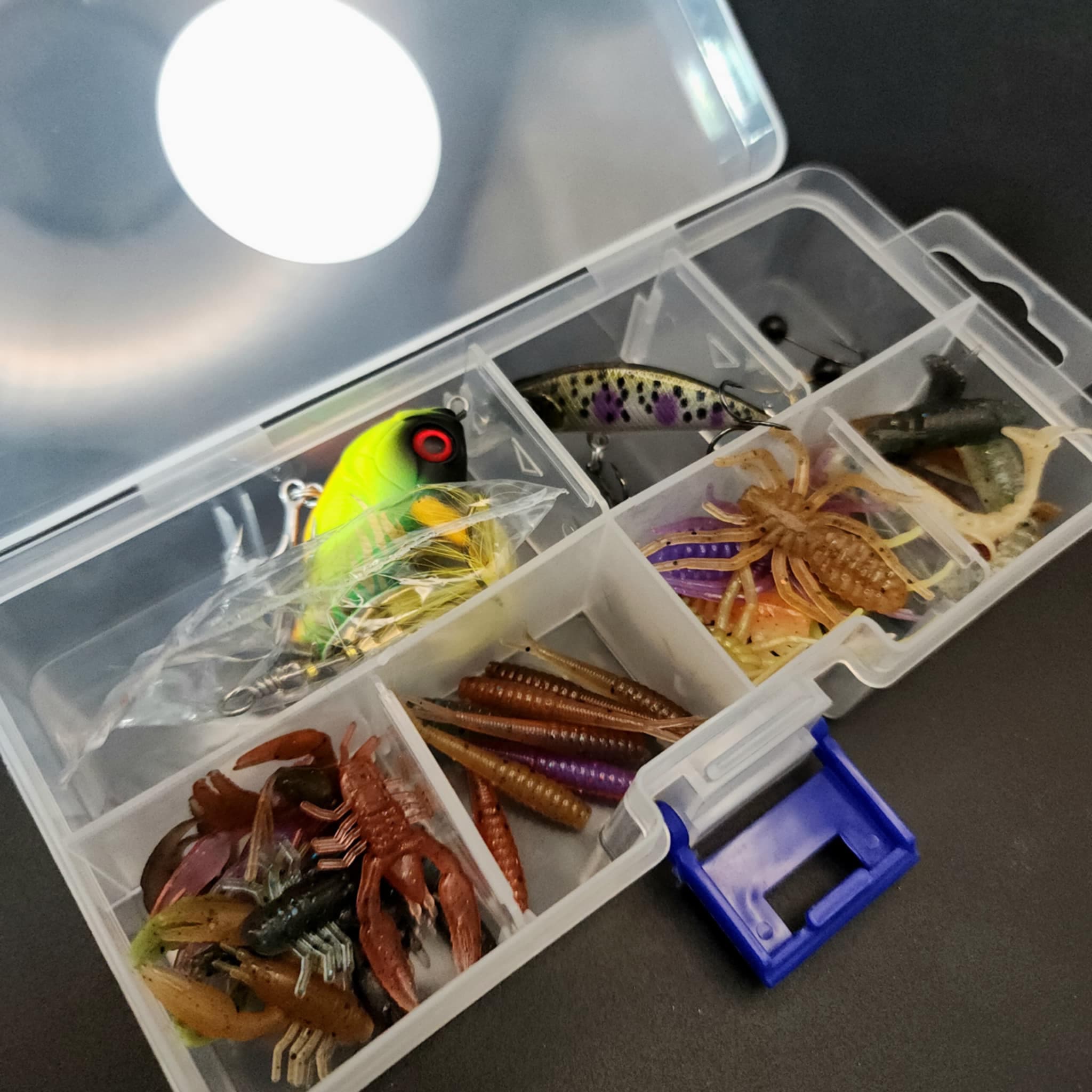 The “Anything That’ll Bite” Kit