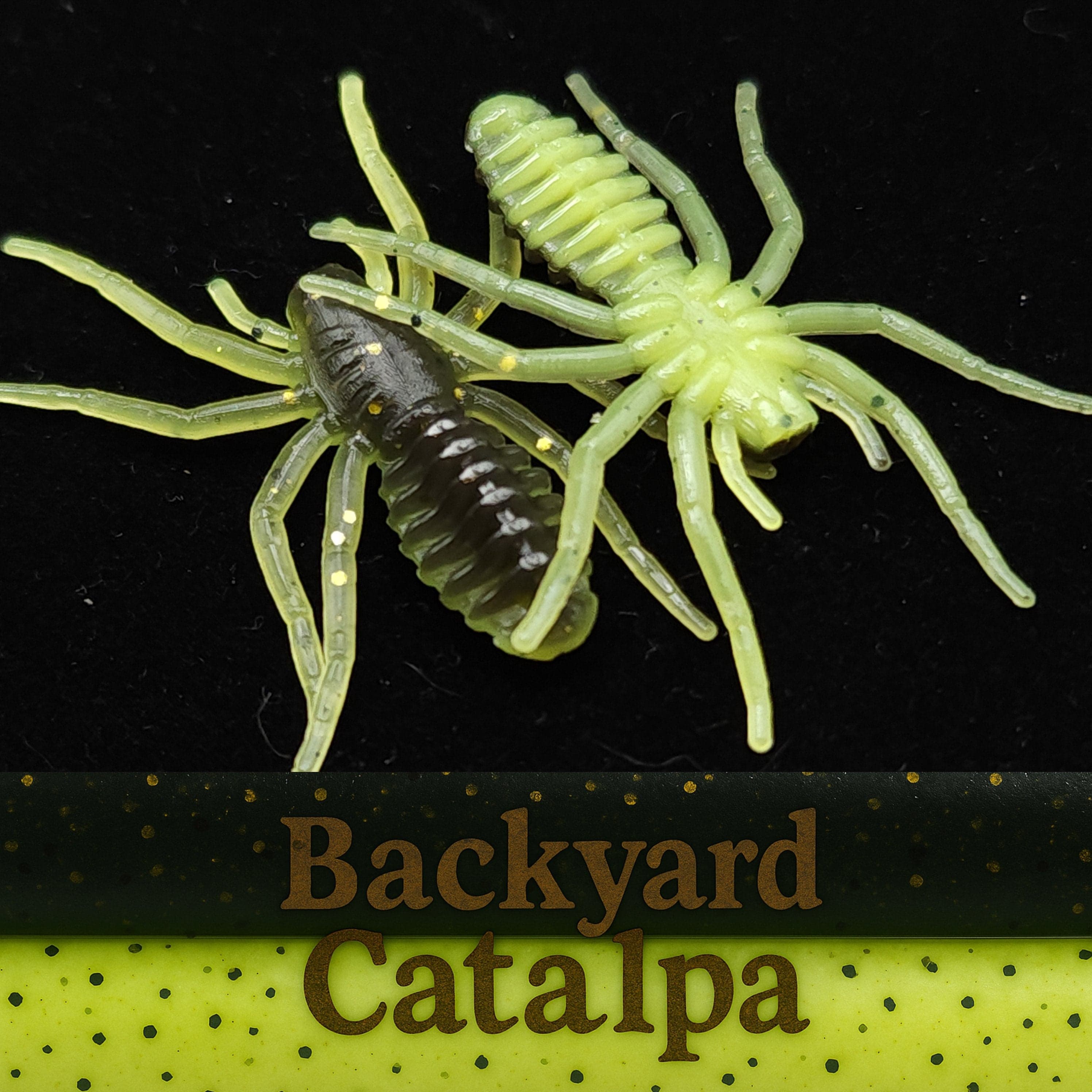 Jar of 1" Micro Spider Bait "The Writing Spider"