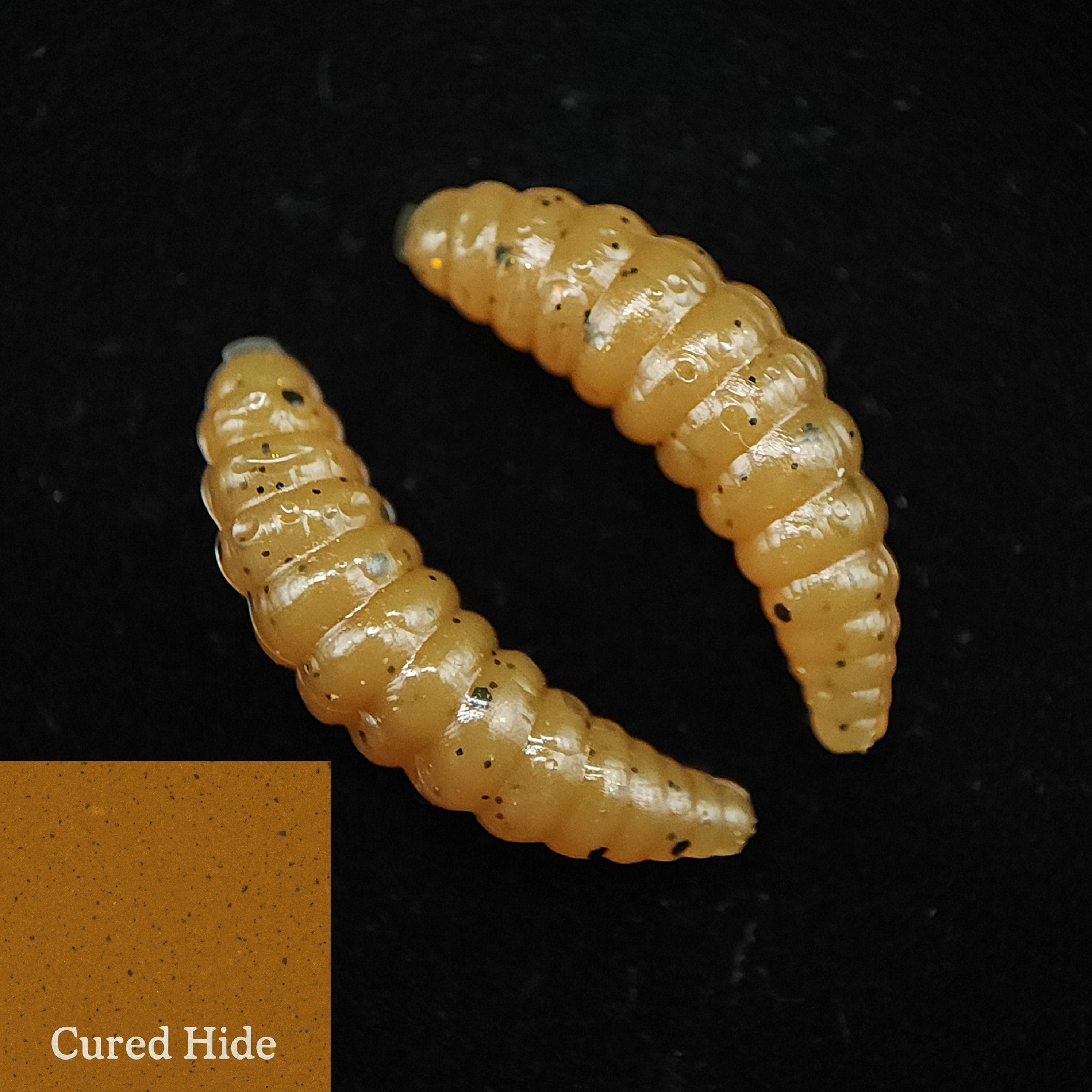 1" Waxworm "The Tater Bug"
