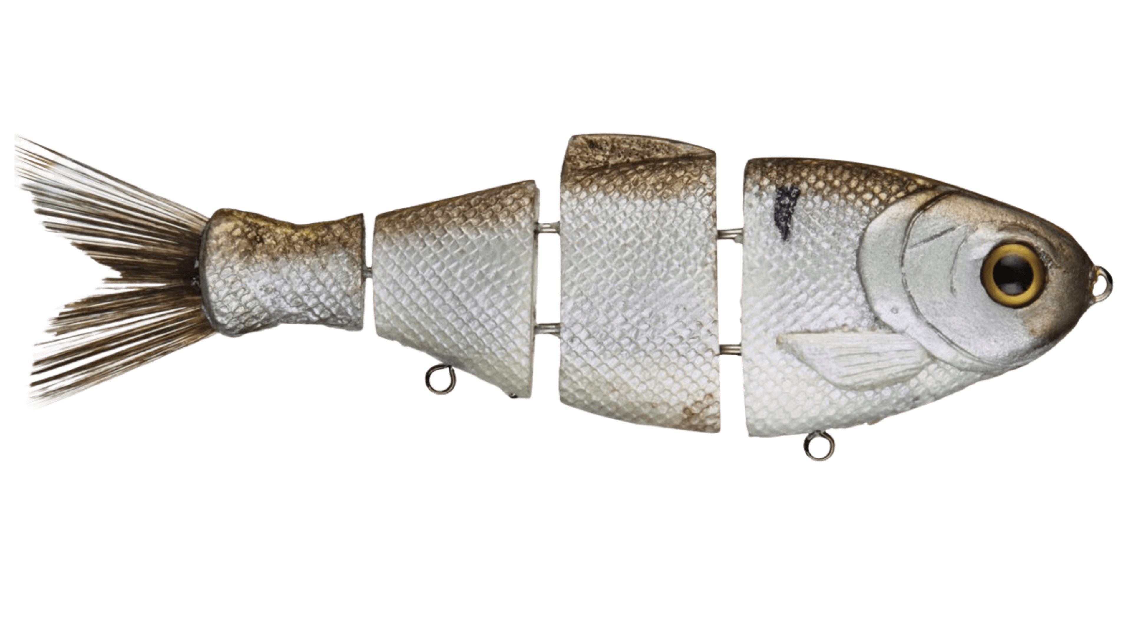 Bull Shad Slow Sink