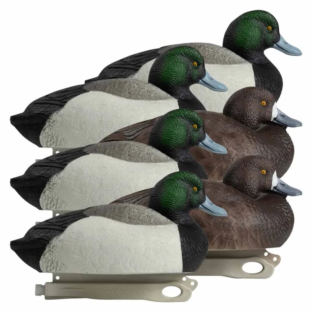 Rugged Series Bluebill – Foam Filled