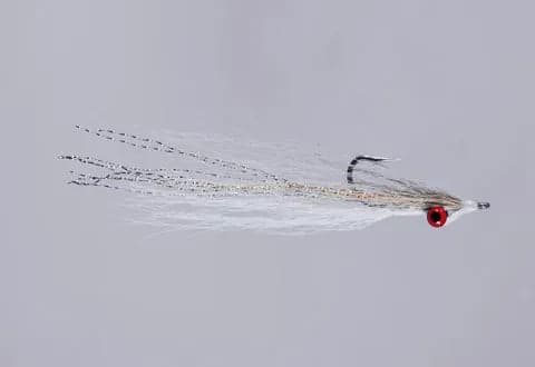 Clouser Deep Minnow (Sizes 8 & 10)