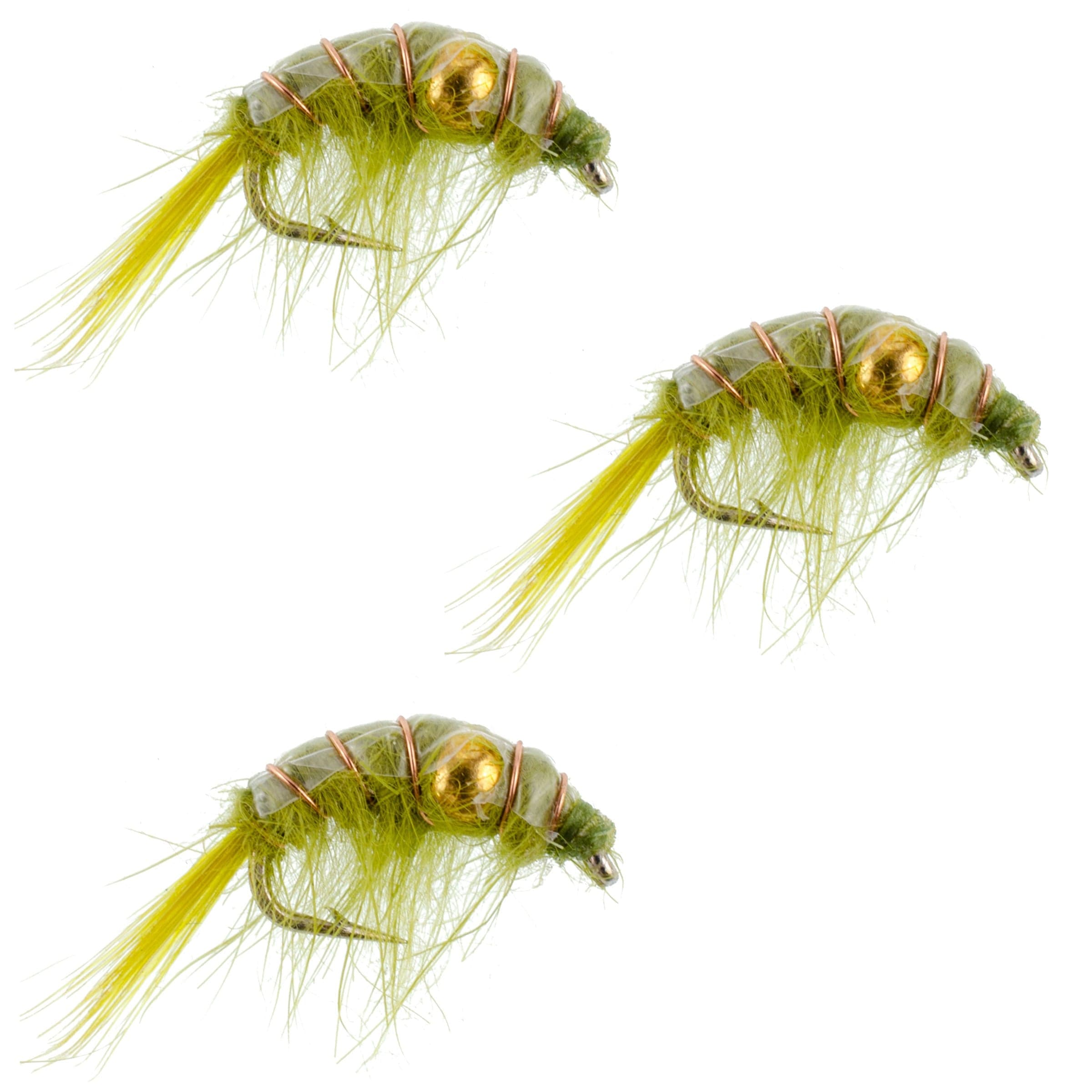3 Pack Olive Beaded Shrimp Scud Pattern - Size 12 - Tailwater Lake Fly Fishing Nymph