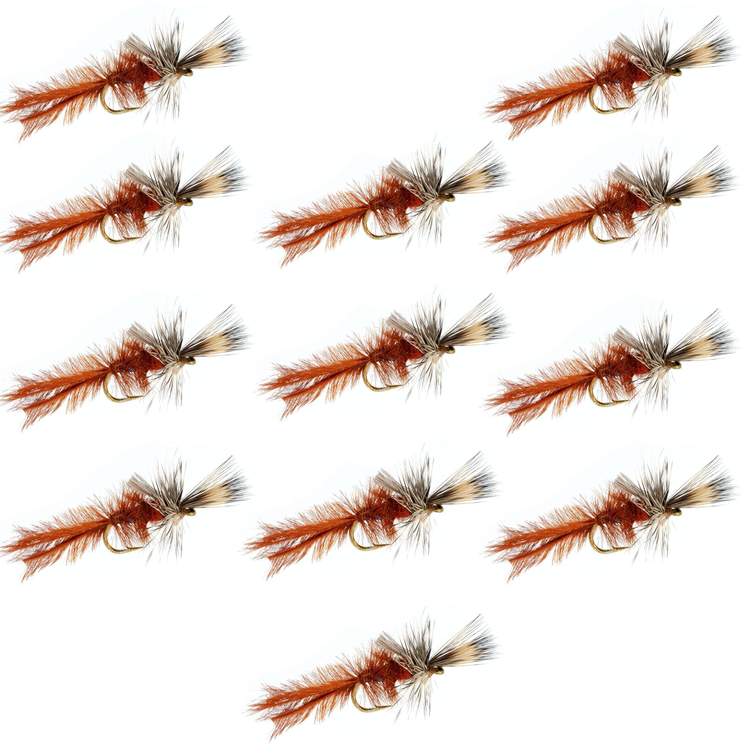 Callibaetis Cripple Mayfly 12 Flies Hook Size 16