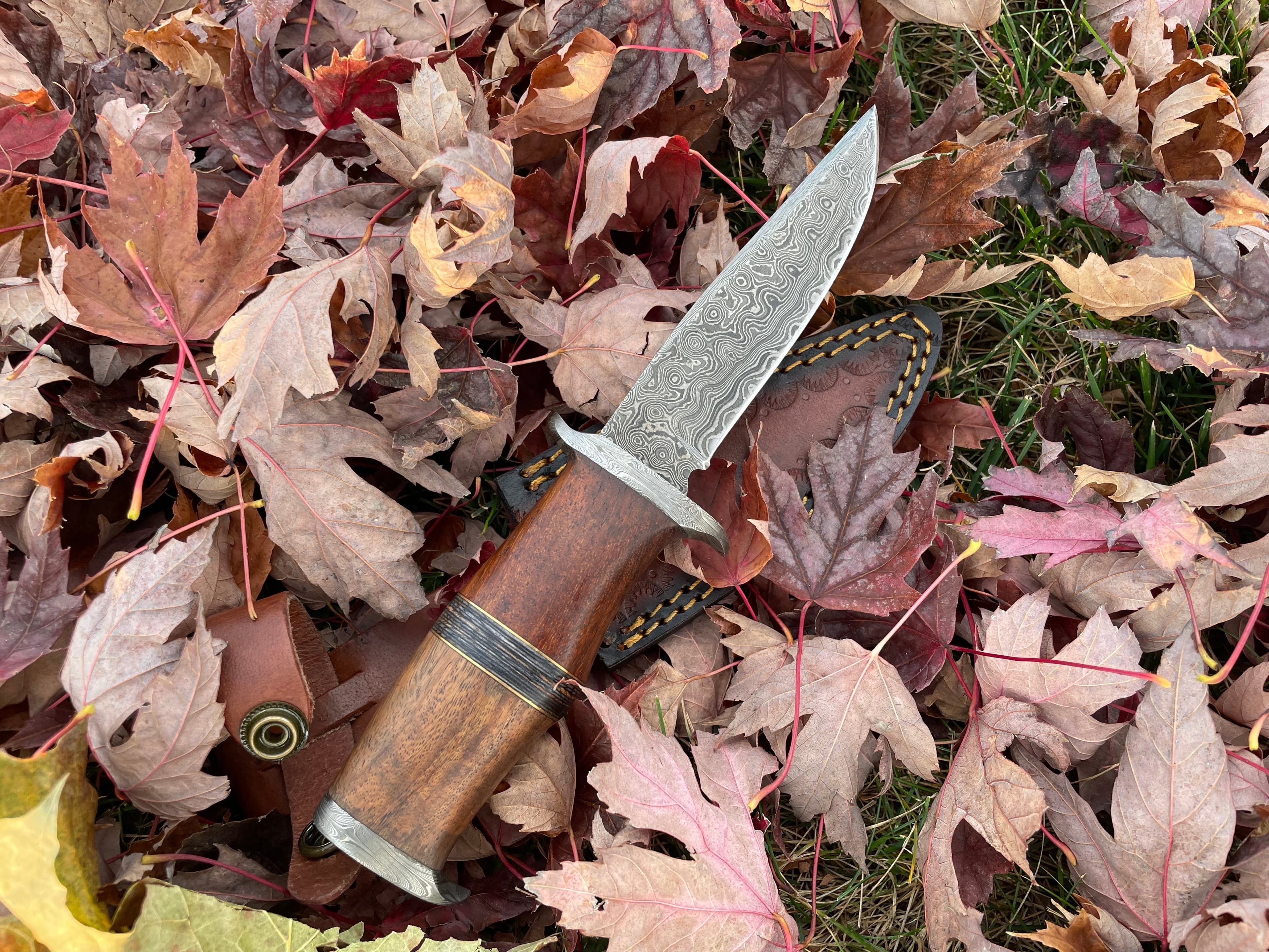 Ironwood Stalker TK-214 Damascus steel knife by Titan International Knives