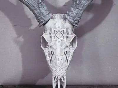 Graphic Whitetail "Maze Runner" Antler Mount