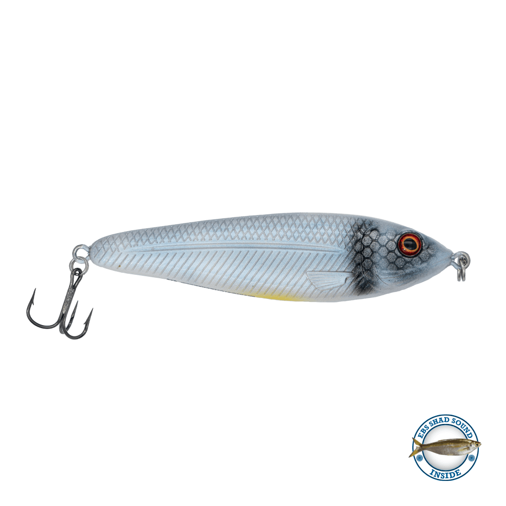 EBS Jigging Spoon