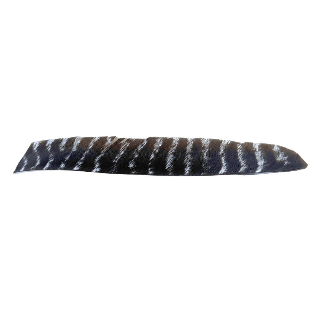 King Feathers - Full Length - Natural Barred