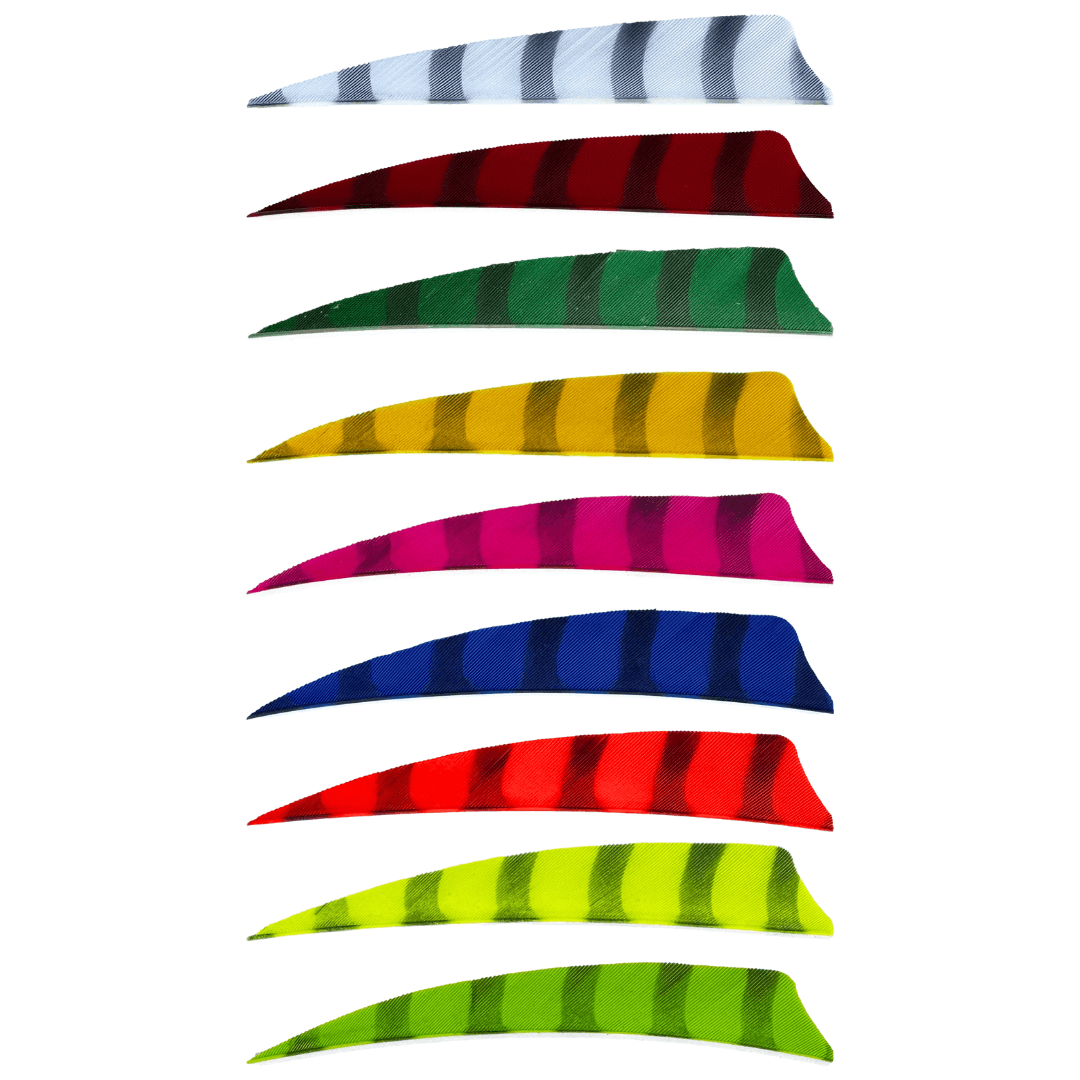 King Feathers - Shield Cut - 5" - Barred Feathers