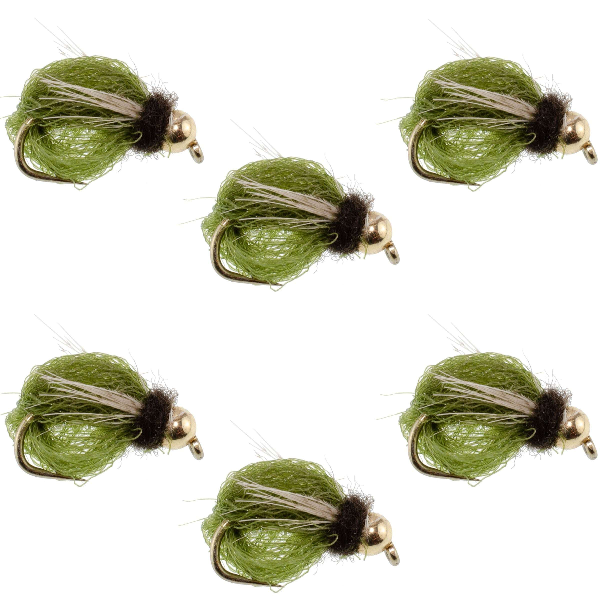 Bead Head LaFontaine Olive Deep Sparkle Caddis Pupa - 6 Flies Hook Size 18