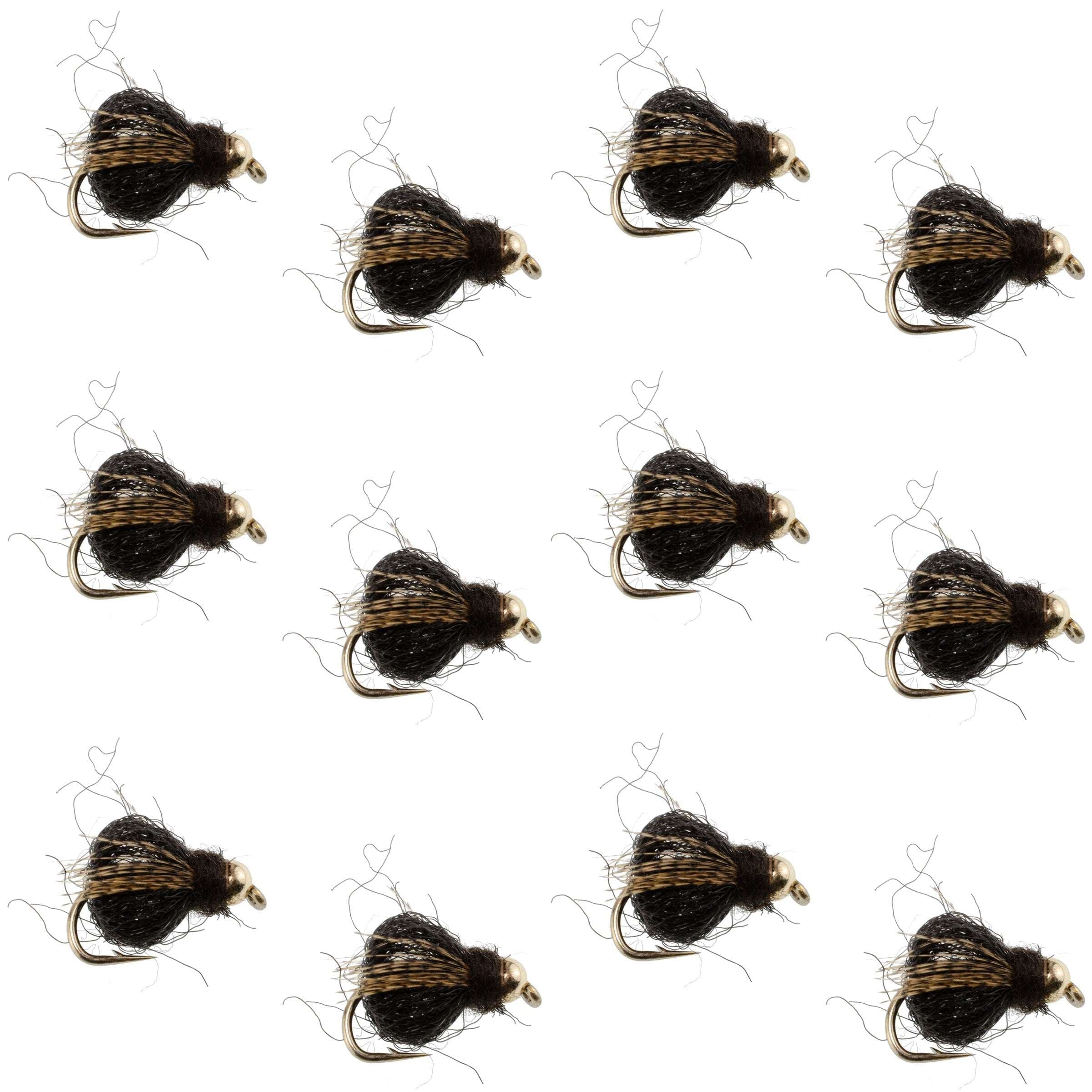 Bead Head LaFontaine Black Deep Sparkle Caddis Pupa - 12 Flies Size 16