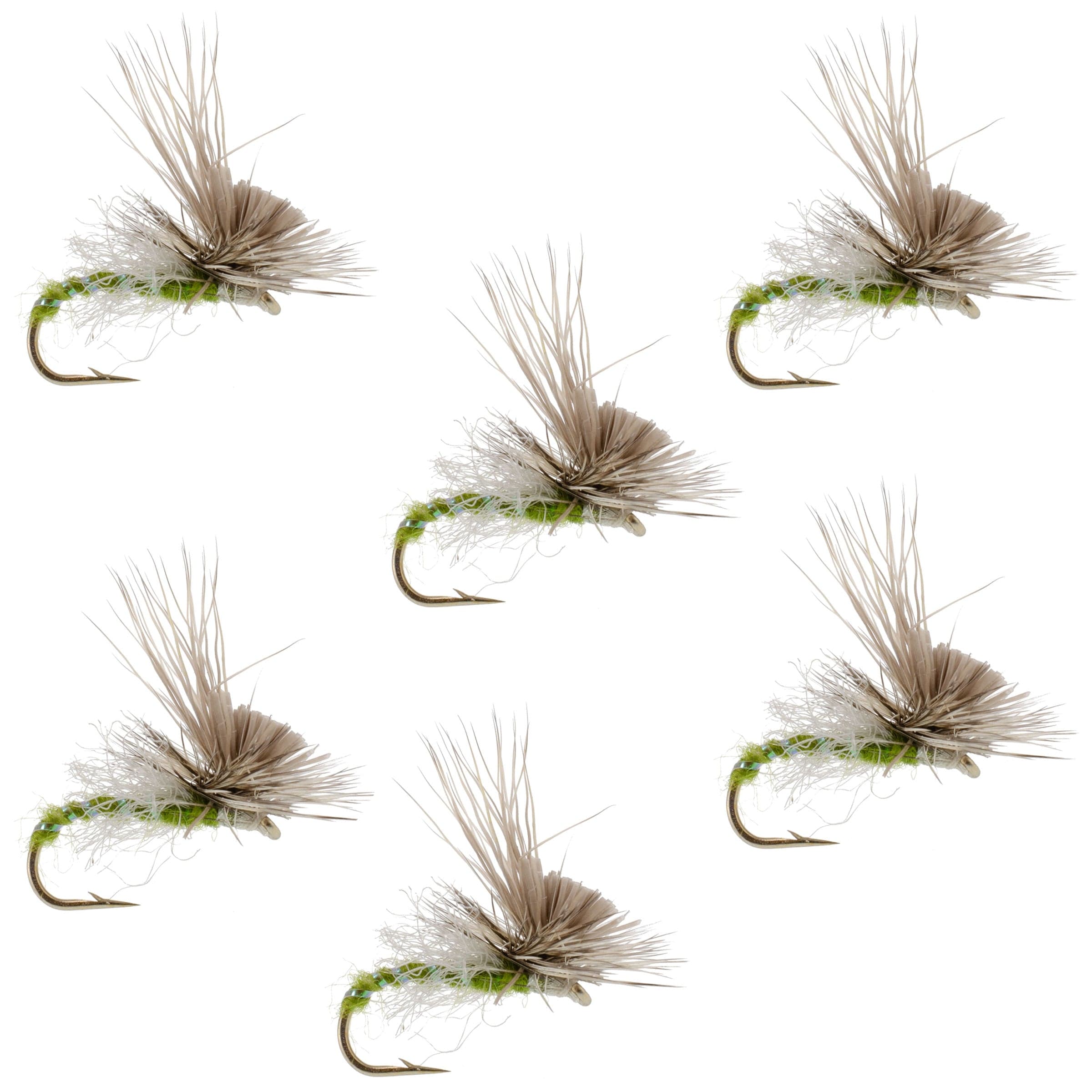 Green Drake Missing Link Mayfly Flies Hook 6 Flies Size 10