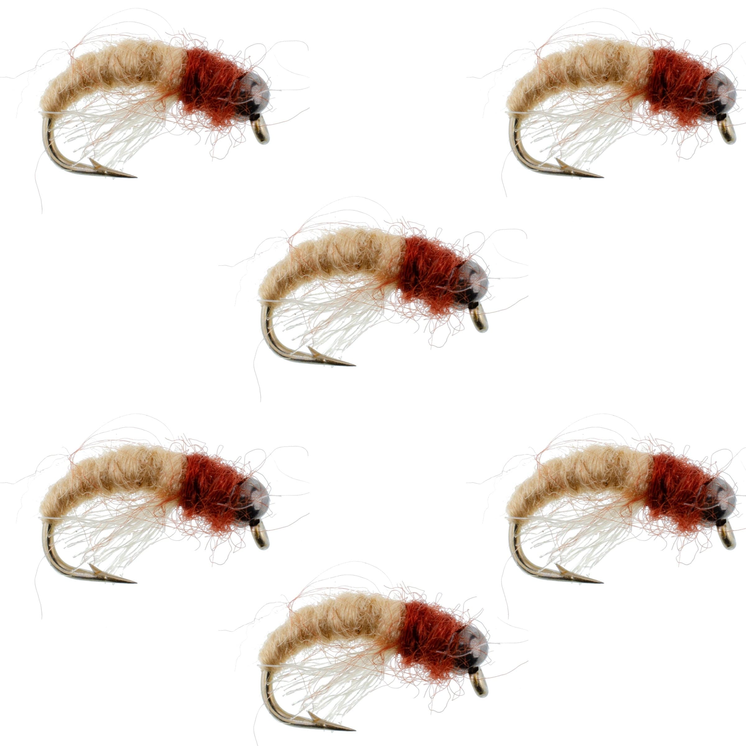 Bead Head Tan Brown Caddis Larva Nymph 6 Flies Hook Size 12