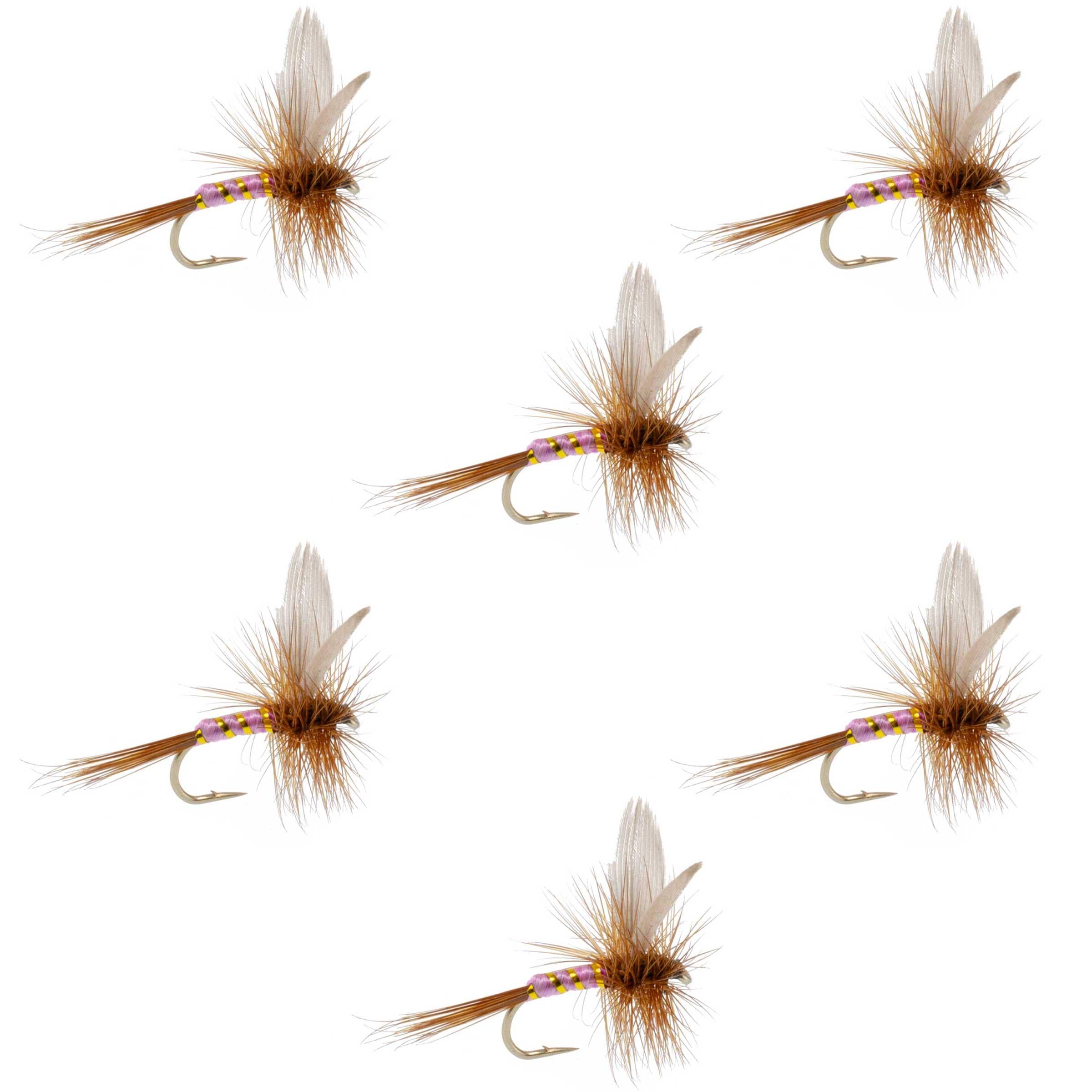 Pink Lady Classic Dry Fly - 6 Flies Size 16