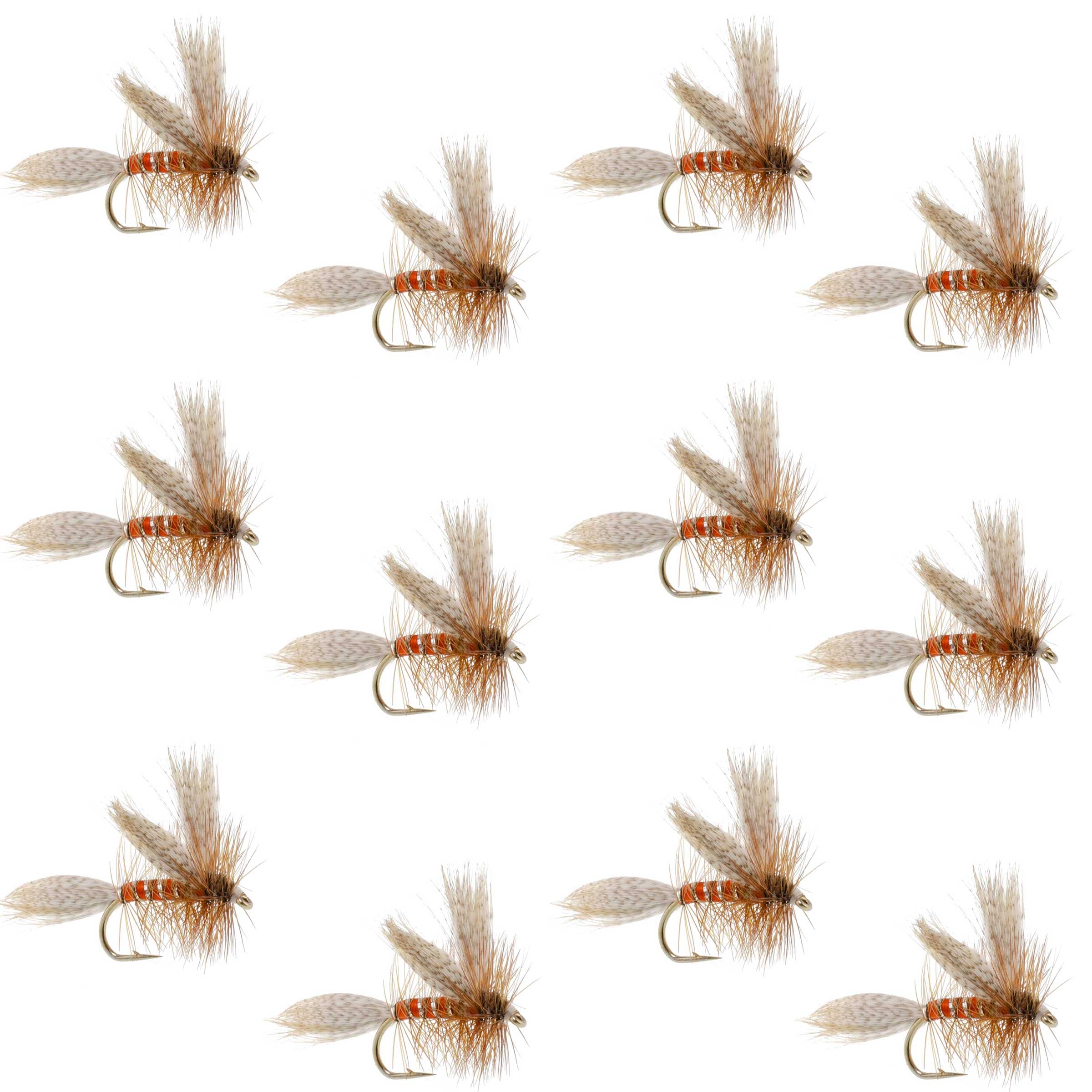 Queen Of The Waters Classic Dry Fly - 12 Flies Size 12