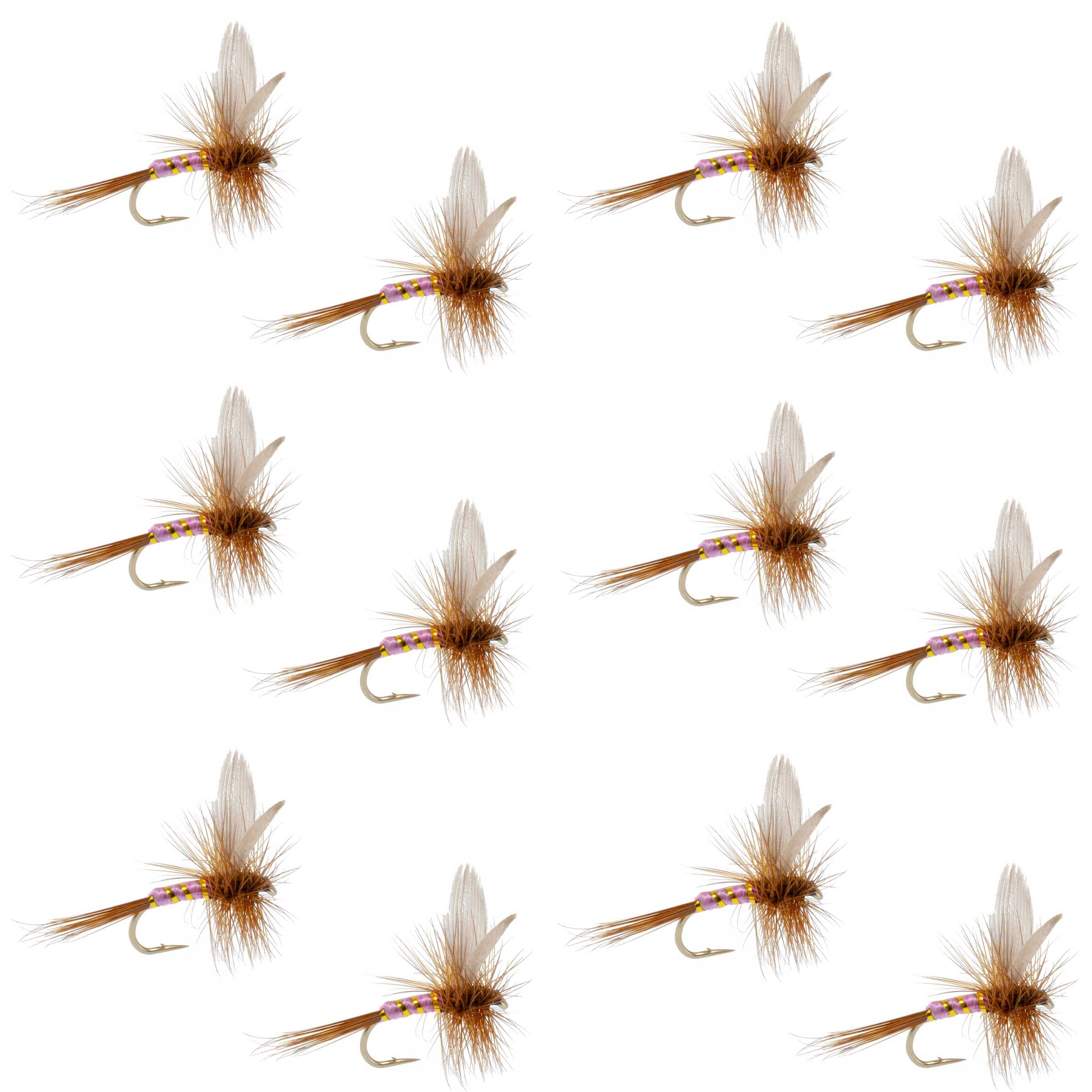 Pink Lady Classic Dry Fly - 12 Flies Size 14