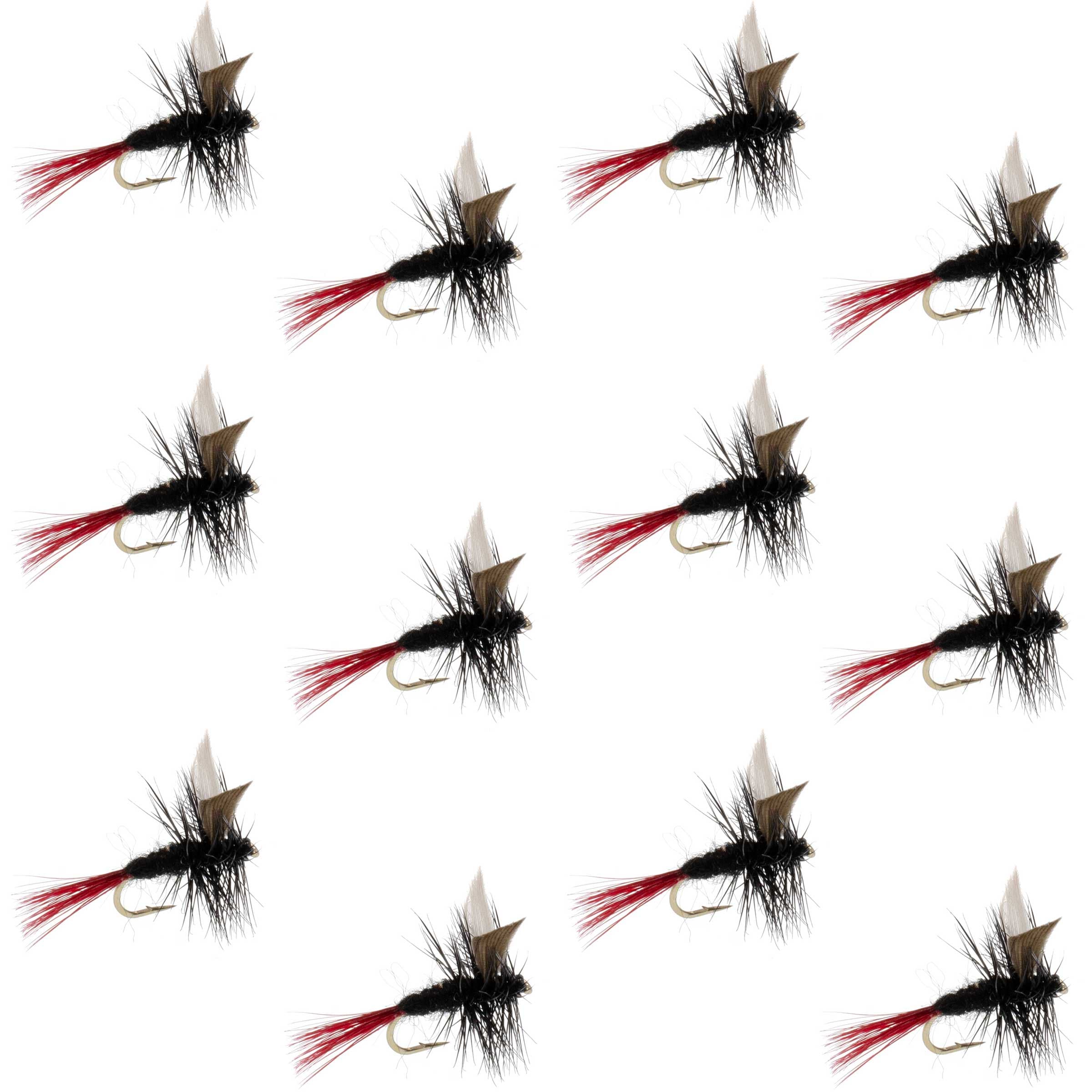 Red-Tailed Black Gnat Classic Dry Fly - 12 Flies Size 16