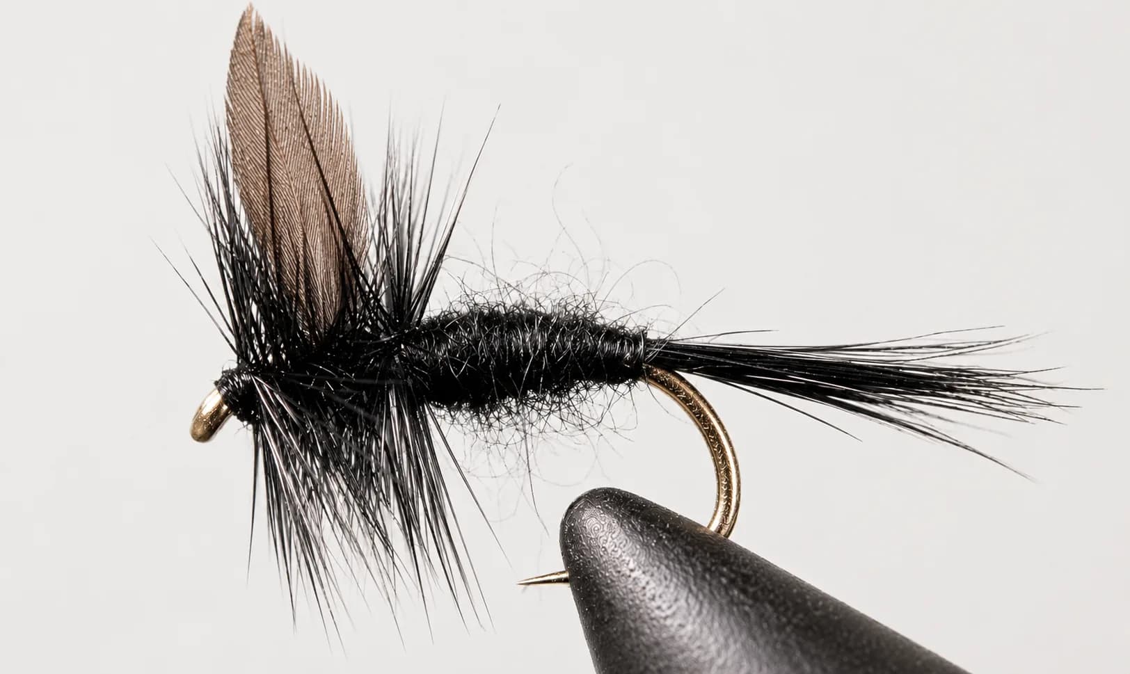 Black Gnat - Black Tail or Red Tail