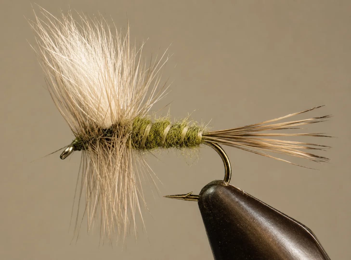 Colorado Green Drake