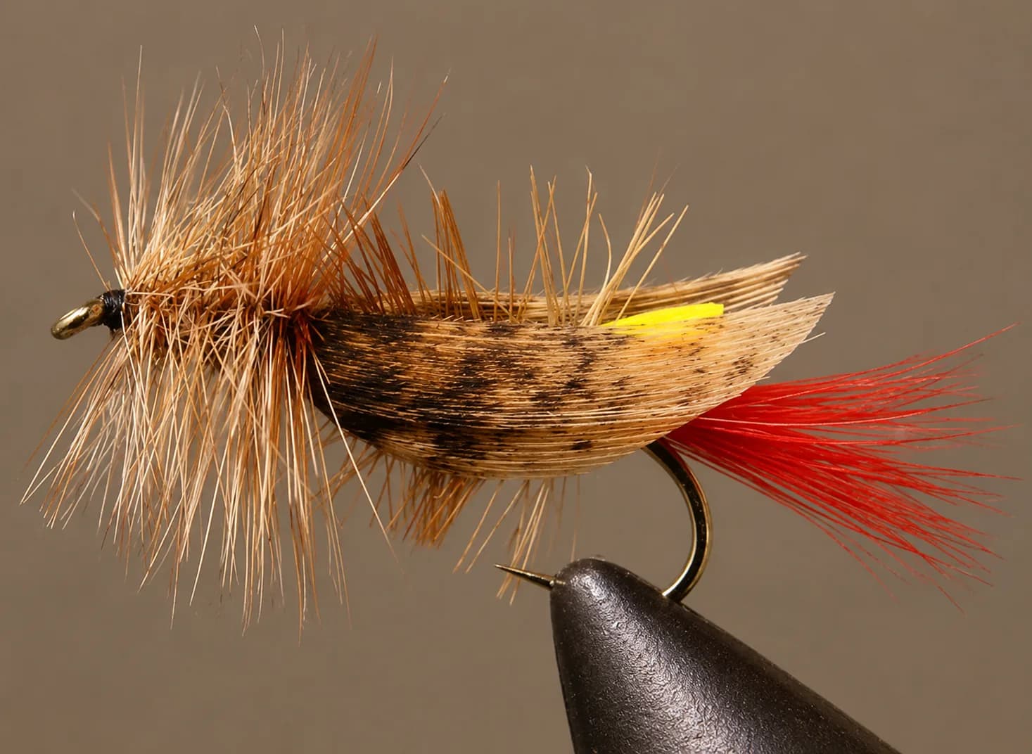 Joe's Hopper