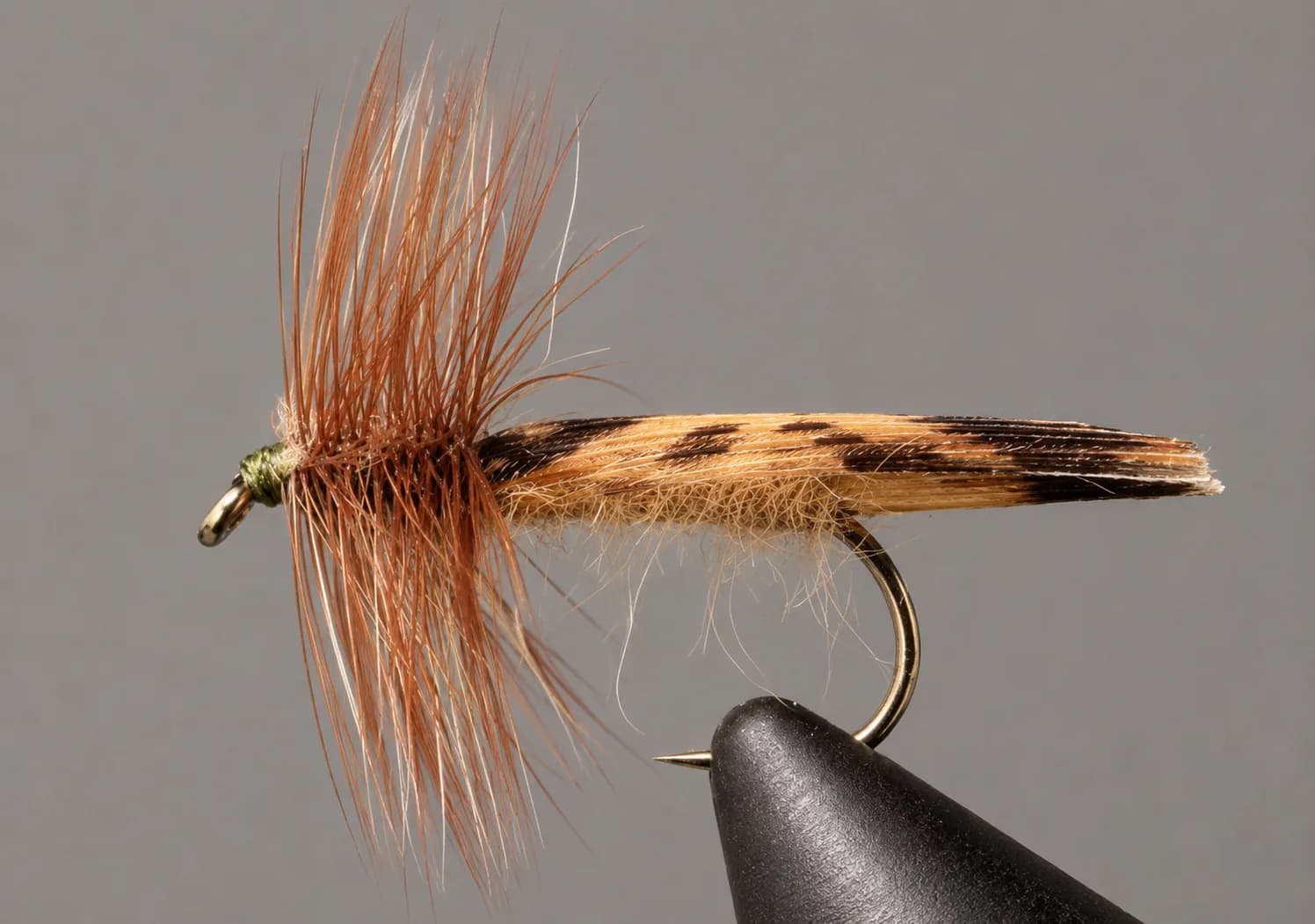 King River Caddis