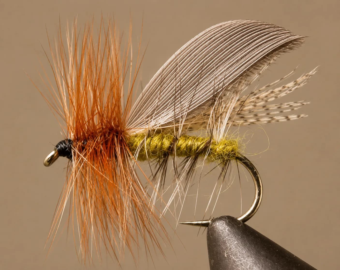 Henryville Caddis