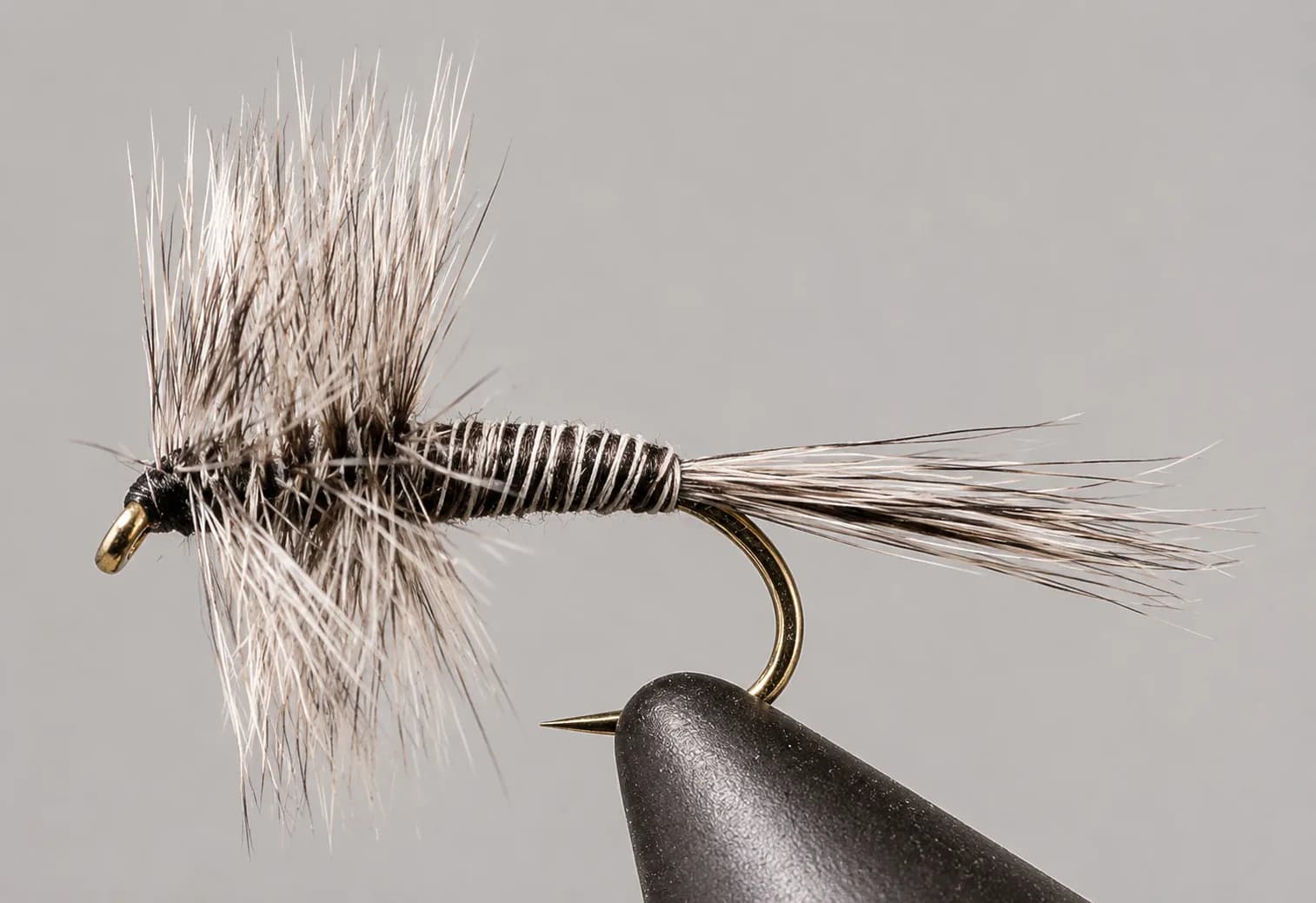 Mosquito