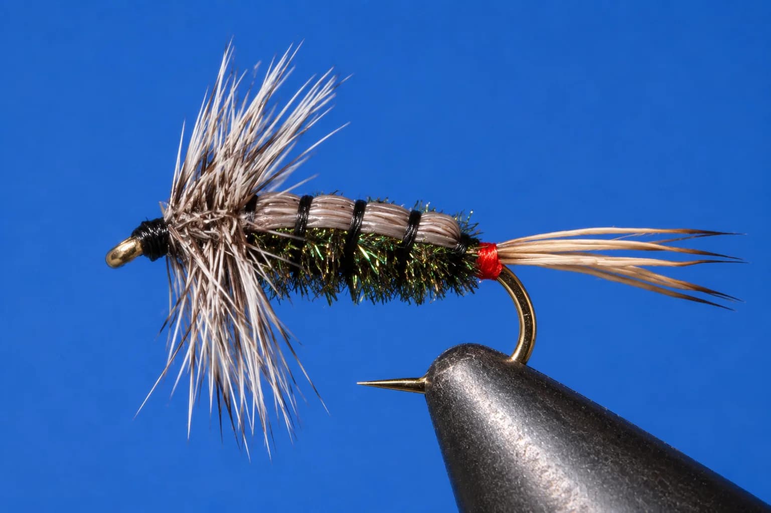 Wyoming Renegade