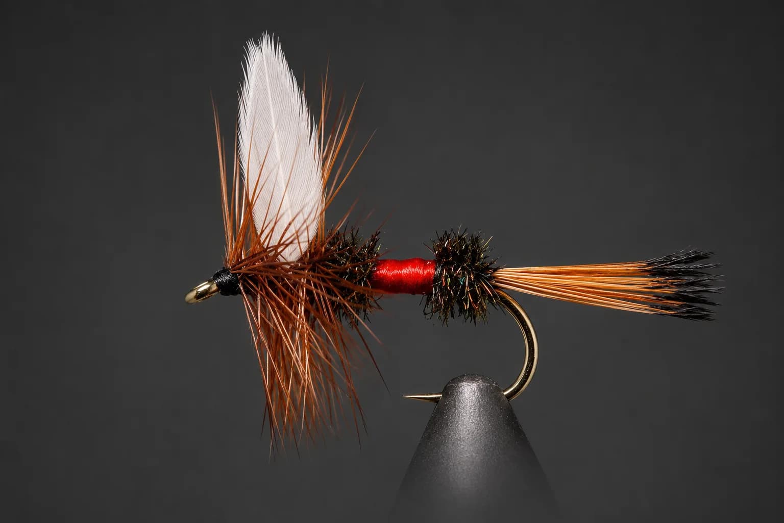 Royal Coachman