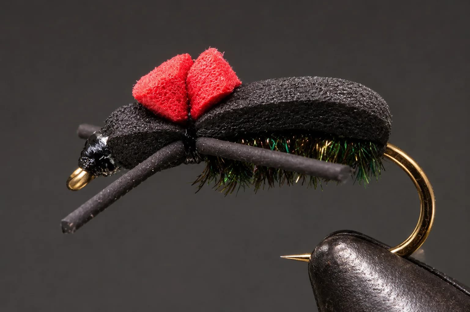 Red Top Foam Beetle