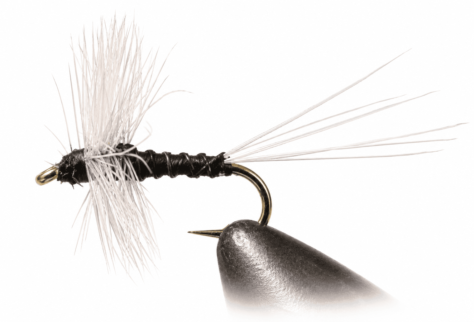 Trico Thorax