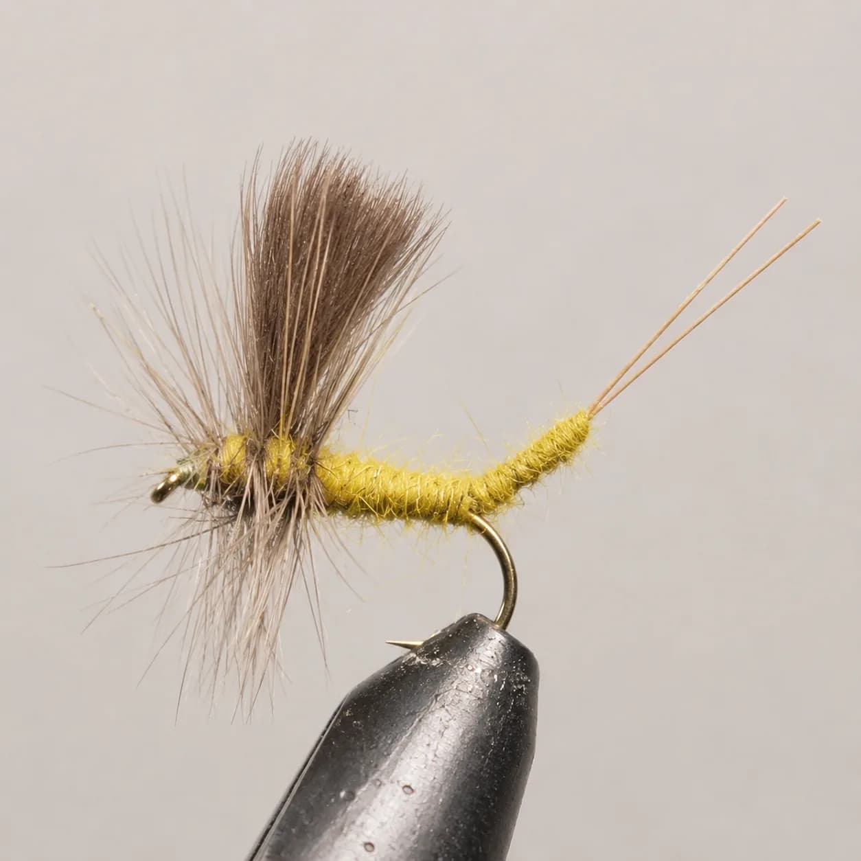 Extended Body Mayfly