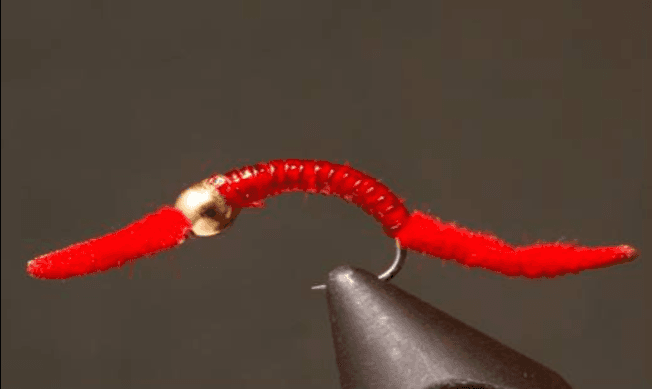 Power Worm - Bead Head