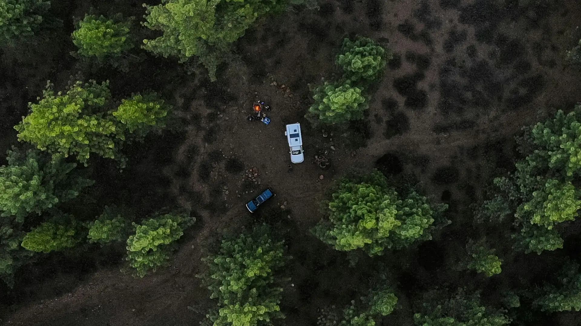 Aerial view of a forest at first light