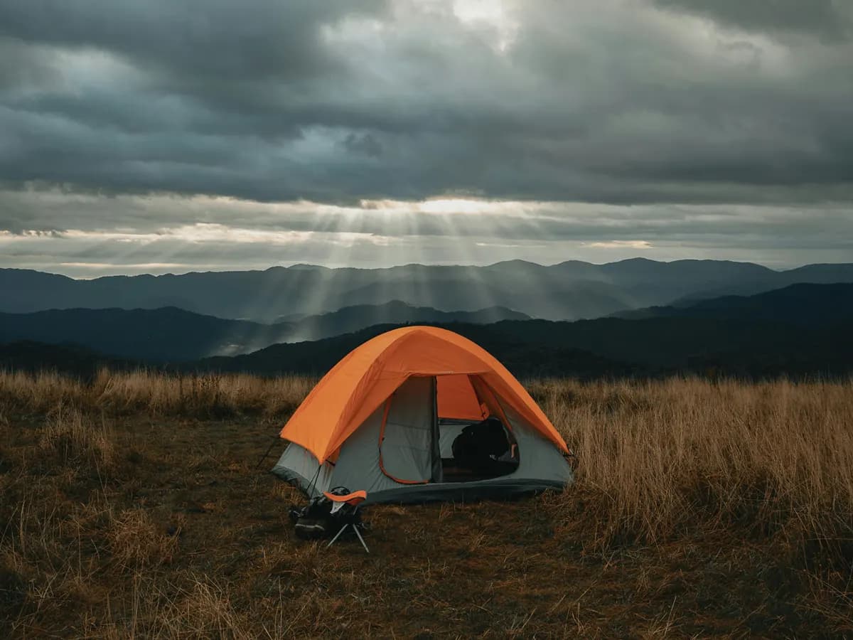 Orange tent pitched in tall grass