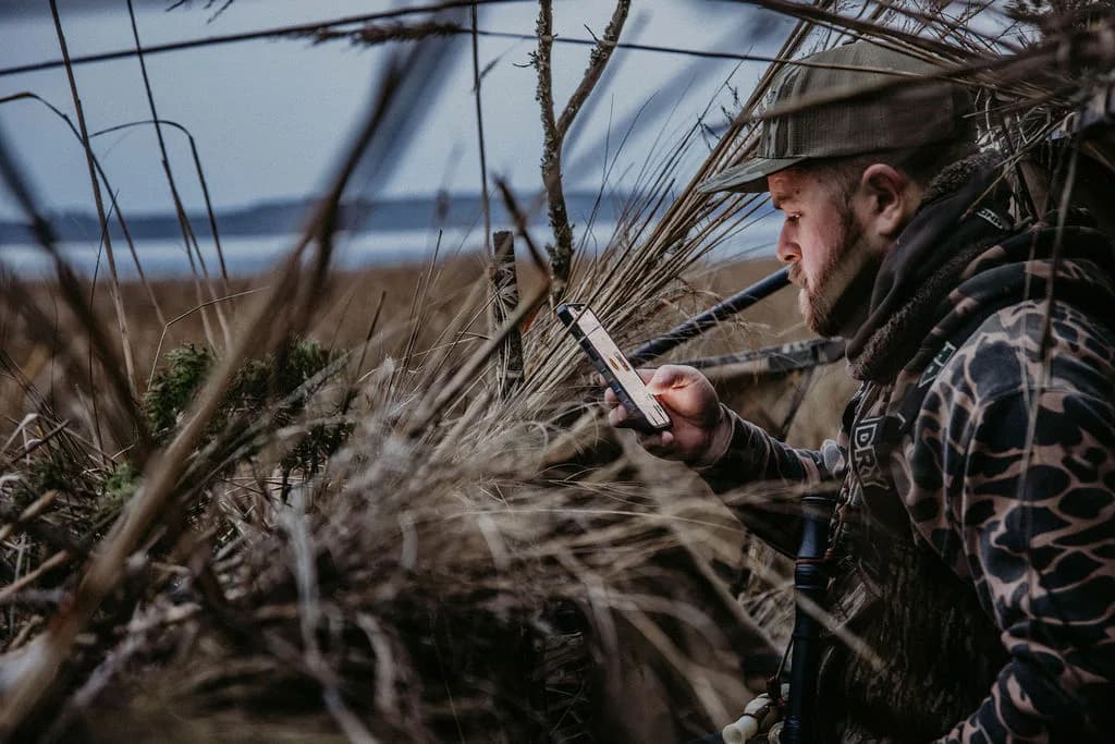 Phone in hand inside the duck blind