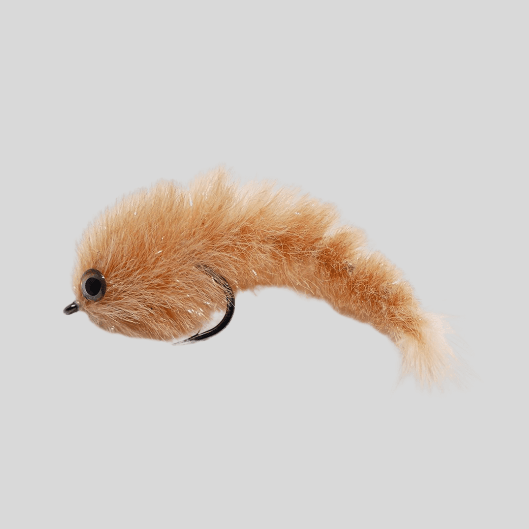 Next Minnow Changer - #6