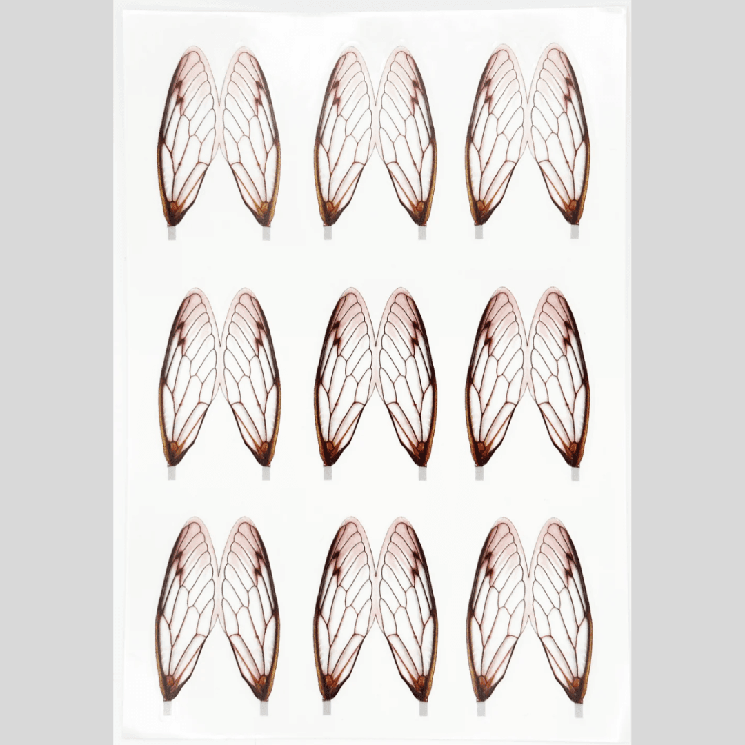 Surface Seducer® Cicada Wings