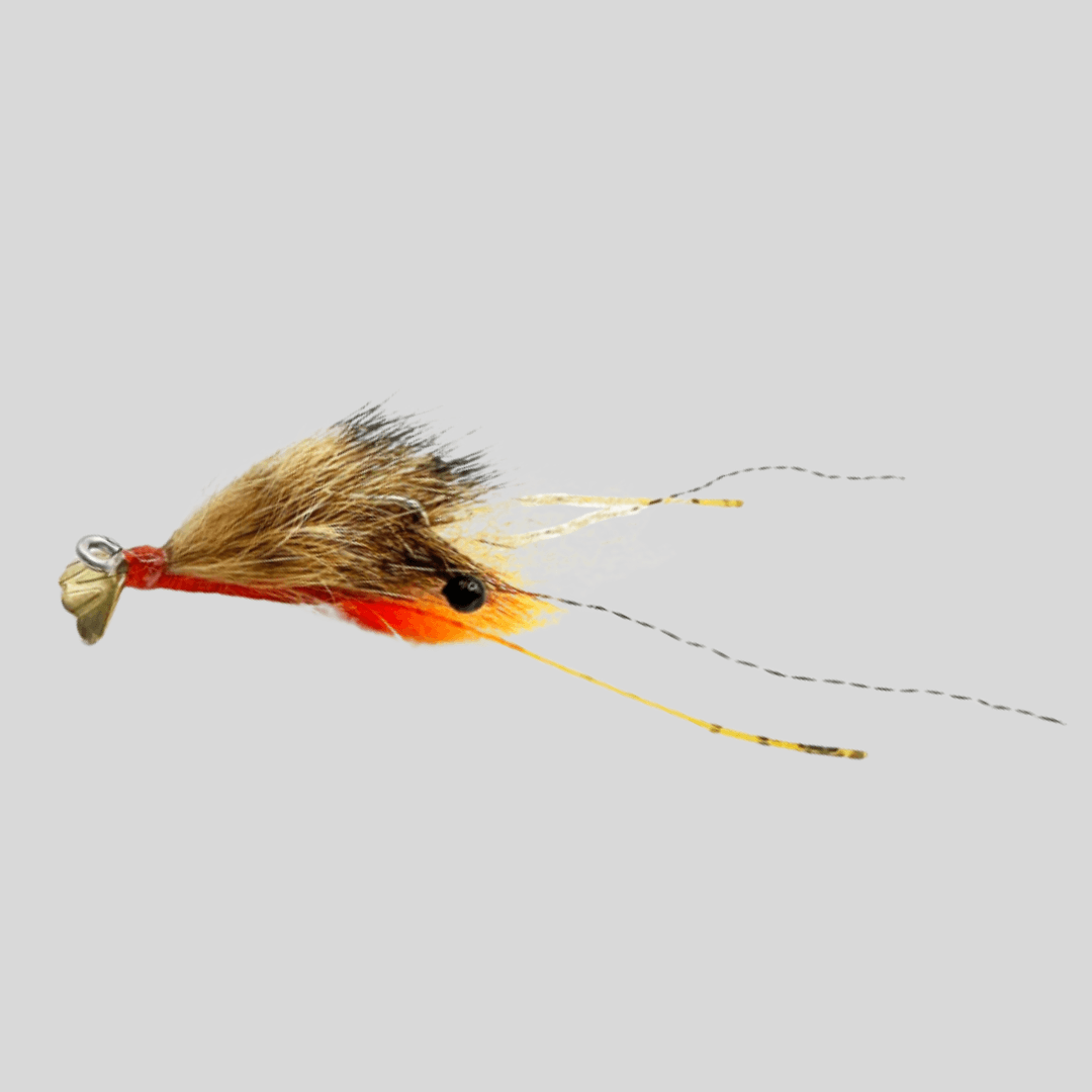 FS Spawning Shrimp