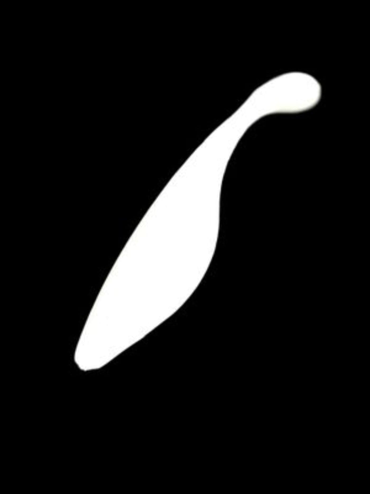 Shad 4" - White
