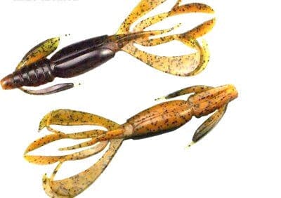 FlapN CritR - Crawdad