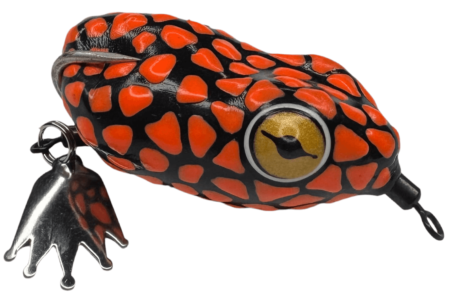 Pacman Frog