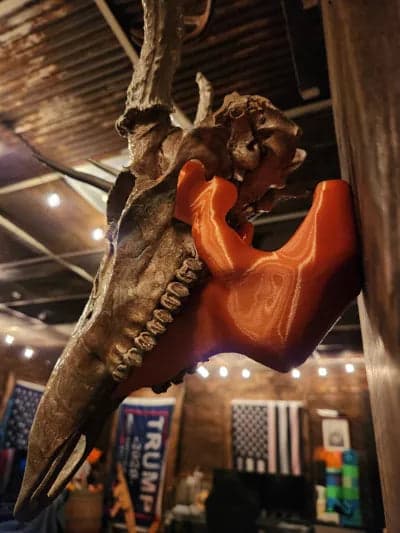 Skull Mount Wall Bracket