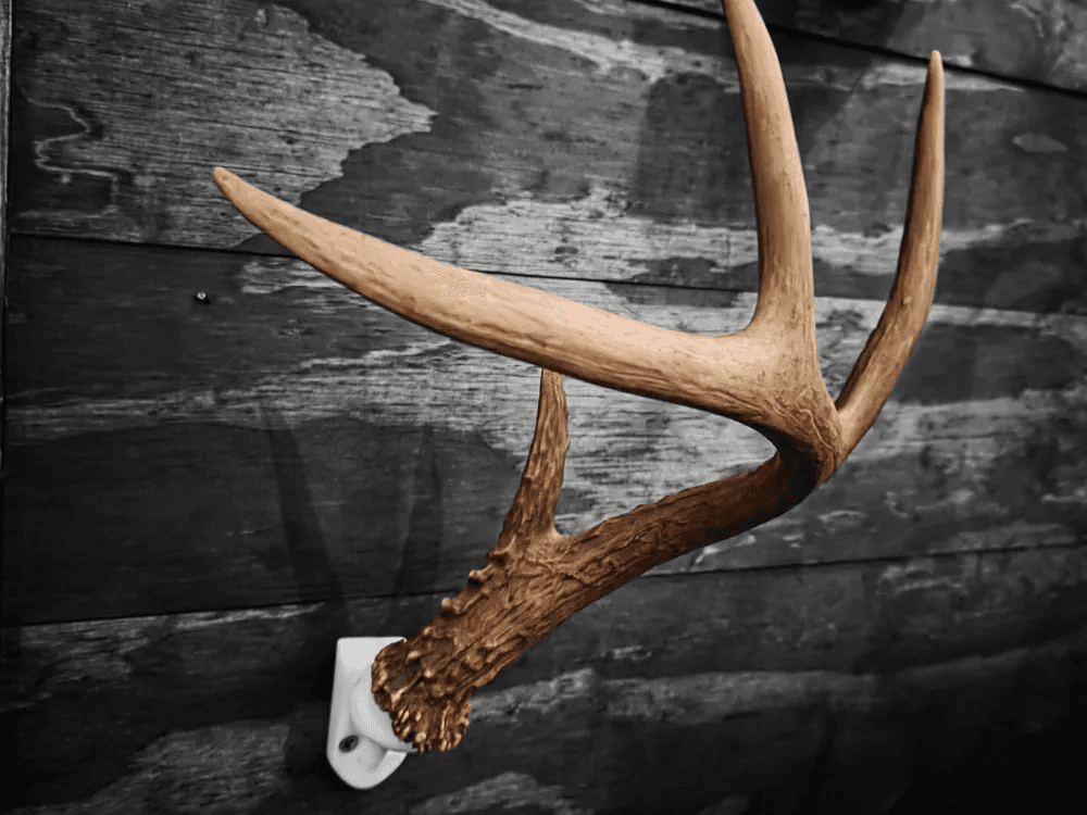 Deer Antler Wall Mount Bracket