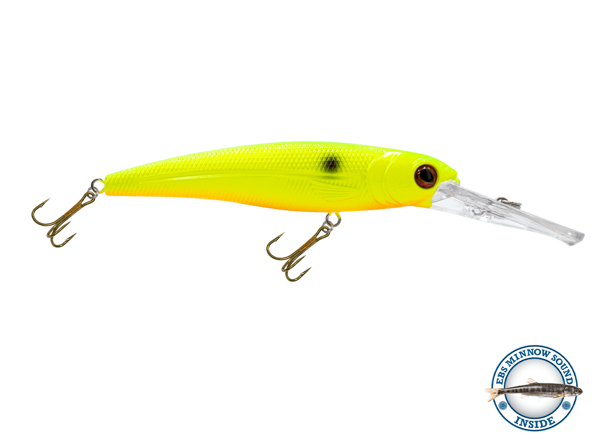 Voyager 15 Walleye