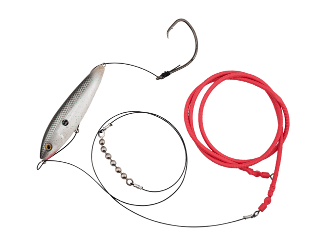 Gatto Loco Catfish Rig