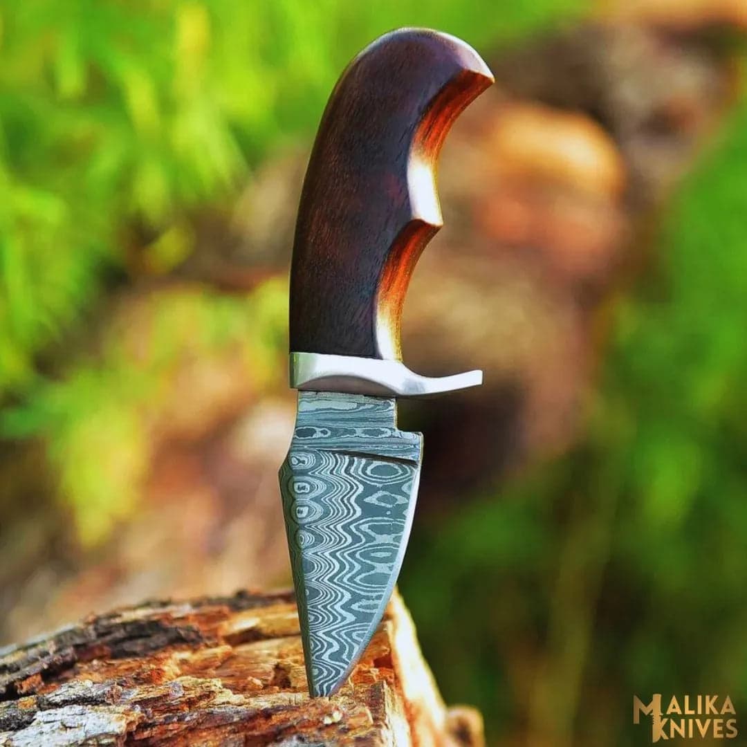 Mini Damascus Hunting Knife with Rosewood Handle